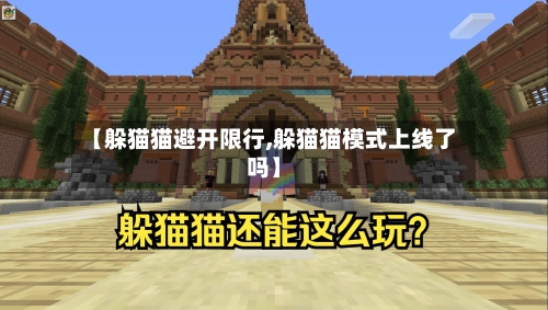 【躲猫猫避开限行,躲猫猫模式上线了吗】