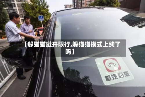【躲猫猫避开限行,躲猫猫模式上线了吗】-第3张图片