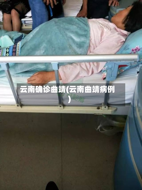 云南确诊曲靖(云南曲靖病例)