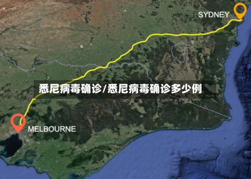 悉尼病毒确诊/悉尼病毒确诊多少例