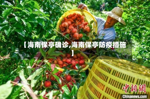 【海南保亭确诊,海南保亭防疫措施】-第2张图片