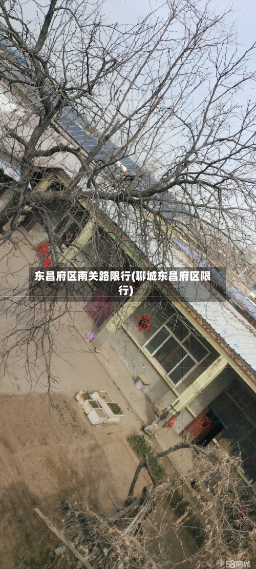 东昌府区南关路限行(聊城东昌府区限行)