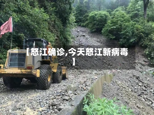 【怒江确诊,今天怒江新病毒】-第2张图片