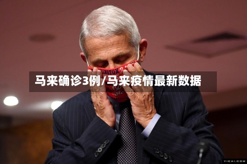马来确诊3例/马来疫情最新数据-第3张图片