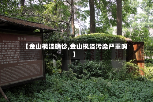 【金山枫泾确诊,金山枫泾污染严重吗】