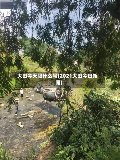 大田今天限什么号(2021大田今日新闻)-第3张图片