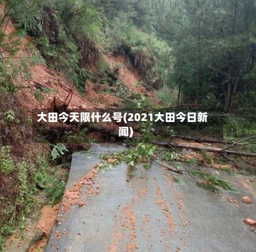 大田今天限什么号(2021大田今日新闻)-第2张图片