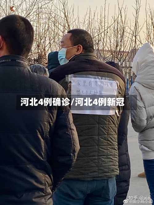 河北4例确诊/河北4例新冠-第3张图片
