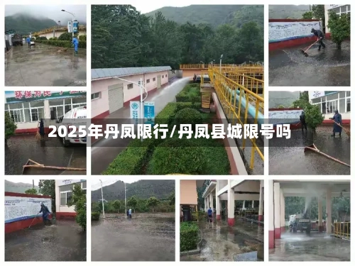 2025年丹凤限行/丹凤县城限号吗