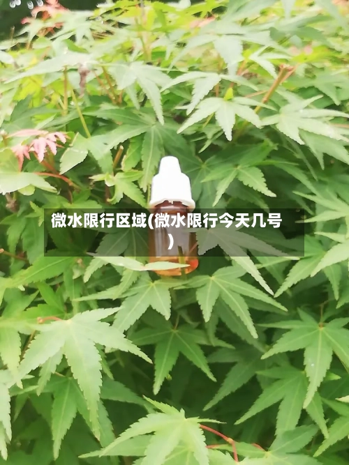 微水限行区域(微水限行今天几号)