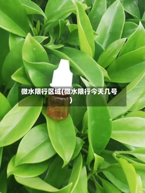 微水限行区域(微水限行今天几号)-第2张图片