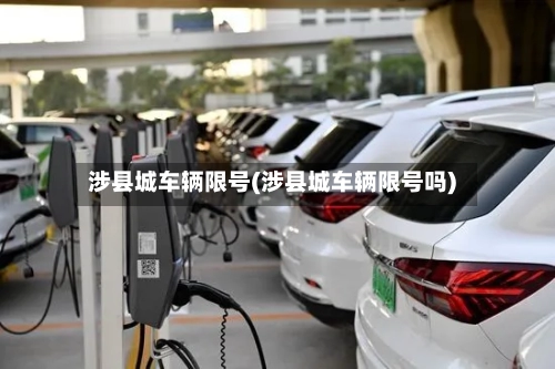 涉县城车辆限号(涉县城车辆限号吗)-第2张图片