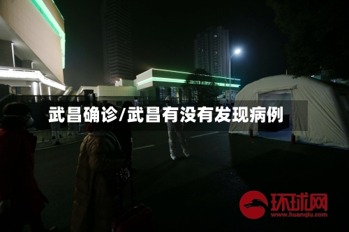 武昌确诊/武昌有没有发现病例-第2张图片