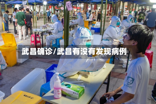 武昌确诊/武昌有没有发现病例-第3张图片