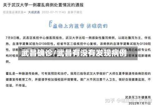 武昌确诊/武昌有没有发现病例