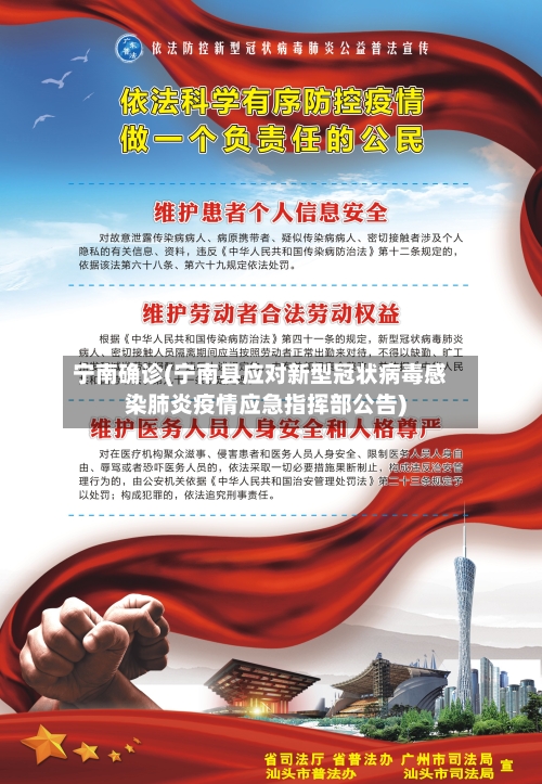 宁南确诊(宁南县应对新型冠状病毒感染肺炎疫情应急指挥部公告)