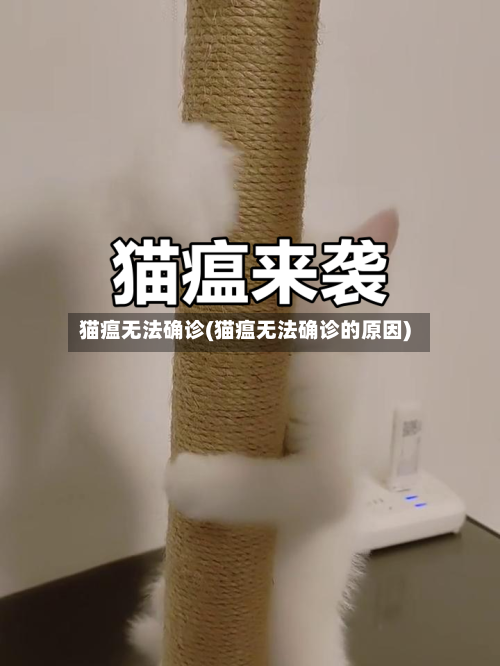 猫瘟无法确诊(猫瘟无法确诊的原因)