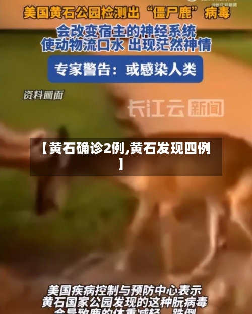 【黄石确诊2例,黄石发现四例】-第3张图片