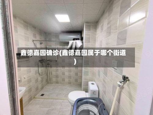 鑫德嘉园确诊(鑫德嘉园属于哪个街道)-第2张图片
