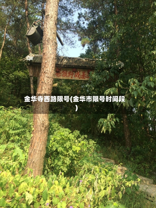 金华寺西路限号(金华市限号时间段)-第2张图片