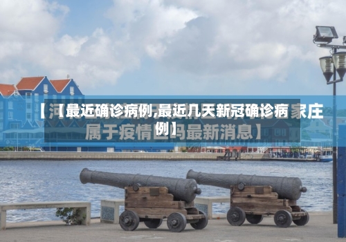 【最近确诊病例,最近几天新冠确诊病例】-第3张图片