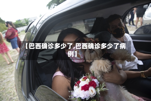 【巴西确诊多少了,巴西确诊多少了病例】