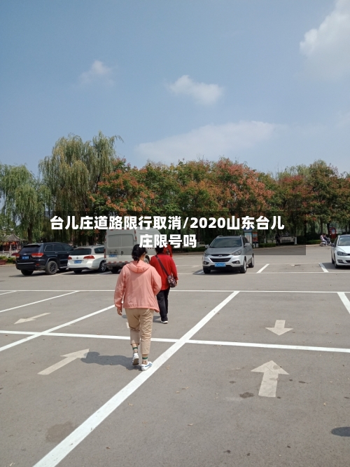 台儿庄道路限行取消/2020山东台儿庄限号吗-第3张图片