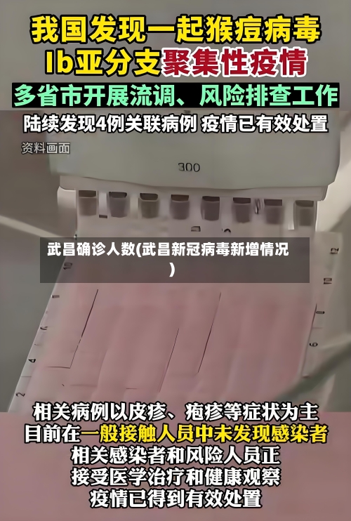 武昌确诊人数(武昌新冠病毒新增情况)-第2张图片