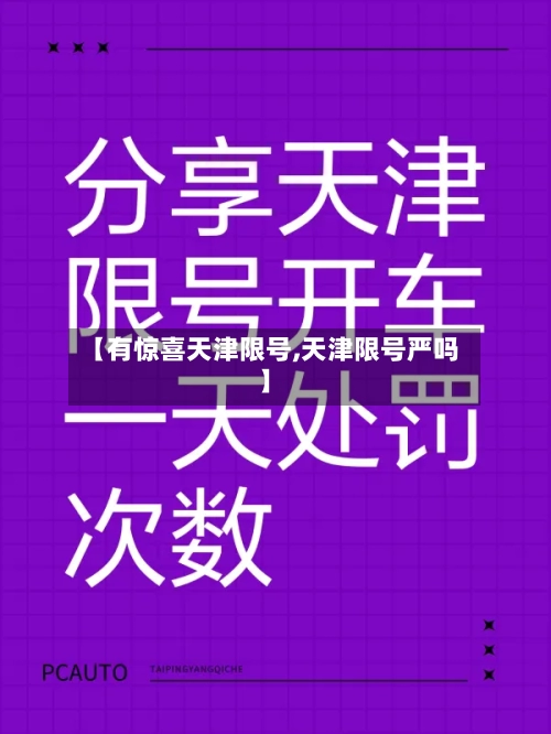 【有惊喜天津限号,天津限号严吗】-第2张图片