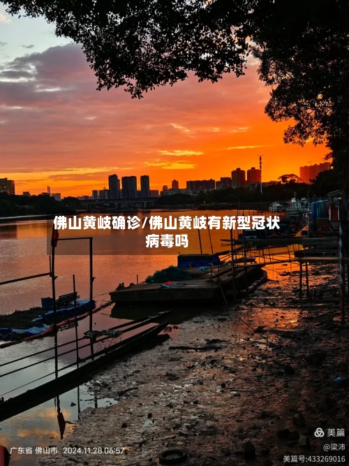 佛山黄岐确诊/佛山黄岐有新型冠状病毒吗