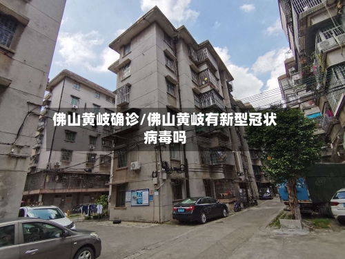 佛山黄岐确诊/佛山黄岐有新型冠状病毒吗-第3张图片
