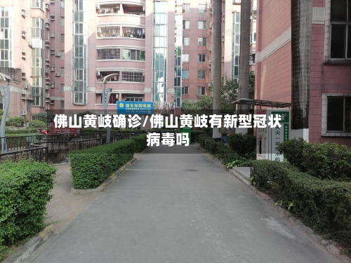佛山黄岐确诊/佛山黄岐有新型冠状病毒吗-第2张图片