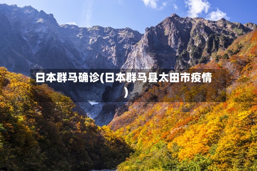 日本群马确诊(日本群马县太田市疫情)-第2张图片