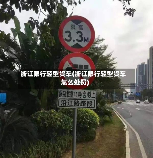 浙江限行轻型货车(浙江限行轻型货车怎么处罚)-第2张图片