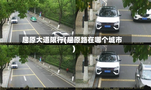 屈原大道限行(屈原路在哪个城市)-第3张图片