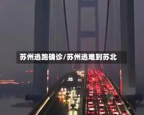 苏州逃跑确诊/苏州逃难到苏北-第3张图片