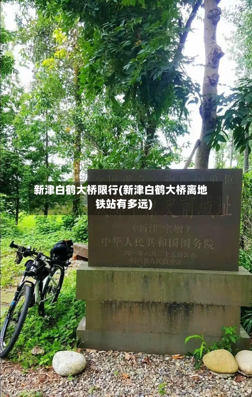 新津白鹤大桥限行(新津白鹤大桥离地铁站有多远)-第3张图片