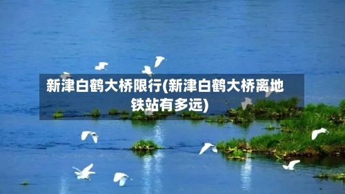 新津白鹤大桥限行(新津白鹤大桥离地铁站有多远)-第2张图片