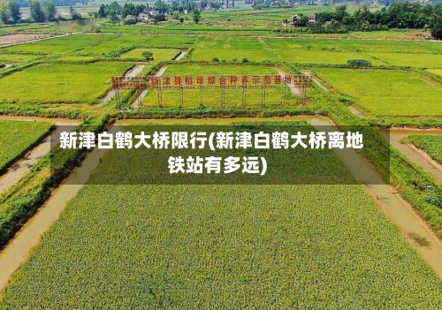 新津白鹤大桥限行(新津白鹤大桥离地铁站有多远)