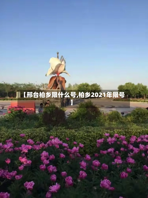 【邢台柏乡限什么号,柏乡2021年限号】
