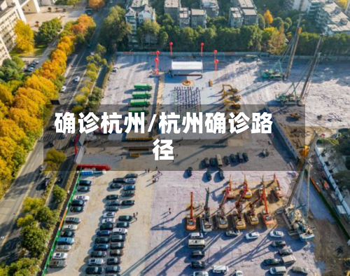 确诊杭州/杭州确诊路径