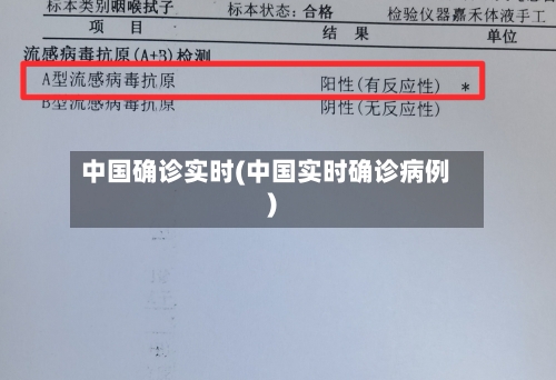 中国确诊实时(中国实时确诊病例)-第2张图片