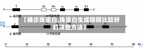 【确诊珠蛋白,珠蛋白生成障碍比较好的筛查方法】-第2张图片
