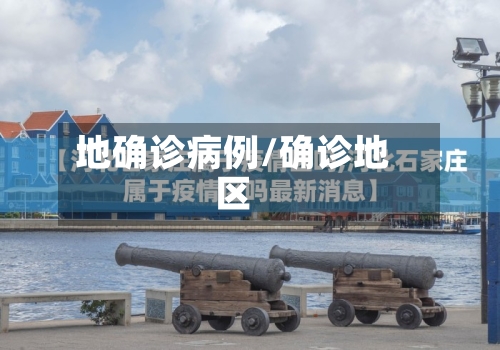 地确诊病例/确诊地区