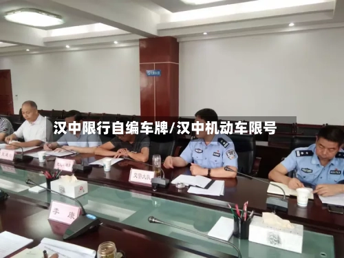 汉中限行自编车牌/汉中机动车限号-第2张图片