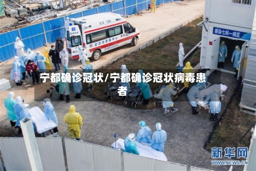 宁都确诊冠状/宁都确诊冠状病毒患者-第3张图片