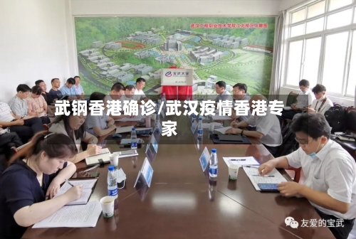 武钢香港确诊/武汉疫情香港专家-第2张图片