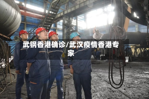 武钢香港确诊/武汉疫情香港专家