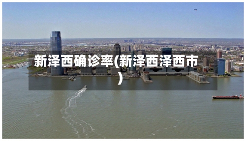 新泽西确诊率(新泽西泽西市)