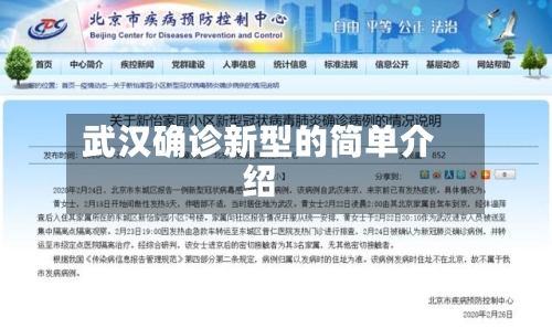 武汉确诊新型的简单介绍